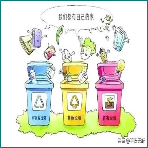 律师赔偿原告怎么取舍